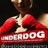Underdog [2019] / H264 / MKV / DVD / SD / AC3 / Subs thumb