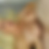 Mama's Cock Greedy 10 /     10 (Pornstar Platinum) [2019 ., Big Tits, Blowjob, Cougar, Family Roleplay, MILF, VOD, 720p] (Split Scenes) (Alura Jenson, Ariella Ferrera, Dee Williams, Sexy Vanessa) thumb