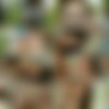 [AllInternal.com / PerfectGonzo.com] Misha Cross (21.03.2014 .) [Anal Sex, Hardcore, Gonzo, Creampie] thumb