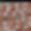 PJGirls.com Jan-Dec 2020 thumb