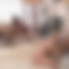 [BlacksOnBlondes.com / DogFartNetwork.com] Anissa Kate, Melissa May, Sarah Vandella [2016 ., Gonzo IR , 720p] thumb