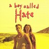 A Boy Called Hate [1996] / H264 / MKV / DVD / SD / AAC thumb