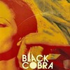 Black Cobra [1976] / H264 / MKV / Blu-ray / 1080p / FLAC / Subs thumb
