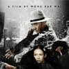 The Grandmaster 2013 1080p BRRip DDP 5 1 H 265 -iVy thumb