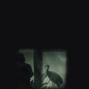 Oriental Elegy [1996] / H264 / MKV / DVD / SD / AC3 / Russian / Subs thumb