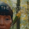 The Last Forest [2021] / H264 / MKV / WEB / 720p / AC3 / Portuguese / Subs / TEPES thumb
