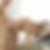 [18OnlyGirls.com/AllFineGirls.com] Jassie Gold & Luna - My Fuck Buddies [2015 ., All Sex, Oral Sex, Threesome, Close Ups, Facial, 1080p] thumb