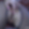 [ePantyhoseLand.com / FerroNetwork.com] Felicia C (g876) [720p, SATRip/2014 ., Pantyhose,Small Tits,Dildo,Solo,Masturbation,Anal Insertion] thumb