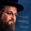 Menashe 2017 German 1080p WEB H264-CLASSiCALHD thumb