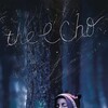 The Echo [2024] / H264 / MKV / WEB / 1080p / AC3 / Spanish / Subs / playWEB thumb