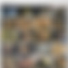 Never Say Never to Rocco (Mai Dire Mai a Rocco Siffredi) /    