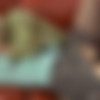 [FerroNetwork.com / LadiesKissLadies.com] Rosa, Susanna (g1054) [720p, SATRip/2014 ., Blondes,Brunette,Natural Tits,Stockings,Lesbians,Dildo,Oral,Kissing] thumb