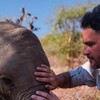 Walking With Elephants S01 1080p AMZN WEBRip DDP2 0 x264-NPMS thumb