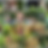 [CzechGardenParty.com / CzechAV.com] CZECH GARDEN PARTY 2 (2014 .) [Group Sex, Hardcore, Party, Orgy, Swingers, Amateurs, Outdoors] thumb