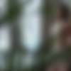 ? /  ? ( ) [2024 ., , , WEBRip] [rus] thumb