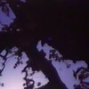 Light Point [1996] / H264 / MKV / Unknown / SD / AAC / Zxx / NOGROUP thumb