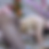 [FERRONETWORK.com / PantyhoseLine.com] Keith, Claudius / g833 (23/02) [2013, Russian, All Sex, Oral, Pantyhose, SiteRip, 720p] thumb