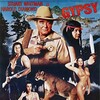 Gypsy 1990 1080p WEB H264-AMORT thumb