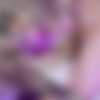 [OnlyFans.com] Qiao Ben Xiangcai - THE COST OF THEFT. [uncen] [2024 ., All Sex, Footjob, Creampie, 1080p] thumb