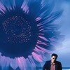 Fireworks 1997 1080p BluRay x264-OFT thumb