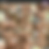 [firstanalquest.com] WILLA [2010, All sex,Anal,Teen] thumb