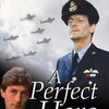 A Perfect Hero S01 webrip aac x264 mp4 thumb