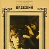 The Birch Wood [1970] / H264 / MKV / WEB / 1080p / AAC / Polish / Subs / PTerWEB thumb