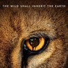 Zoo S02 WEBRip EAC3 5 1 1080p x265-iVy thumb