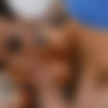 Spizoo 20.01.03 Lily.Lane – Tattooed babe devours two cocks thumb