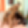 All Star Big Boobs /    (Jules Bart / Digital Playground) [2010, Big Tits, Natural Tits, Gonzo, Straight, 1080p, Blu-Ray] (Jessica Moore, Christina Jolie, Dominno, Jasmine Black, Sensual Jane, Sharon Pink, Choky Ice, Frank Gun, James Brossman, Mugur) thumb
