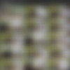 [Loan4k.com] Loan4k Siterip as of 26.08.2020 (13 clips) 540p thumb
