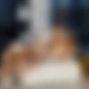 [OnlyTarts.com] Elena Vedem - Fuck Your Wedding [2024 ., All Sex, Natural Tits, Hardcore, Pussy Licking, Straight, Creampie, 1080p] thumb