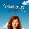 Suburgatory S01-S03 Complete 1080p Web x264-Mixed thumb