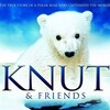Knut & Friends [2008] / H264 / MKV / Blu-ray / 720p / AC3 / Subs / HANDJOB thumb