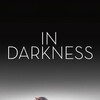 In Darkness [2011] / H264 / MKV / Blu-ray / 1080p / AC3 / Polish / Subs / DON thumb