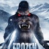 Frozen Sasquatch 2018 1080p WEB H264-AMORT thumb