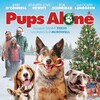 Hunde Allein zu Haus 2021 German 1080p WEB H264-CLASSiCALHD thumb
