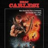 Commando Ninja 2018 1080p BluRay REMUX AVC DD 2 0-UnKn0wn thumb