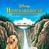 Homeward Bound: The Incredible Journey [1993] / H264 / MKV / WEB / 1080p / AC3 / Subs / ABM thumb
