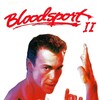 Bloodsport II [1996] / H264 / MKV / DVD / SD / AC3 / Flipper thumb