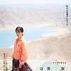 To the Ends of the Earth 2019 1080p BluRay Remux AVC DTS-HD MA 5 1-PTer thumb