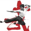 I Am Bruce Lee [2012] / H264 / MKV / Blu-ray / 1080p / DTS / Scene / GECKOS thumb