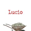 Lucio [2007] / H264 / MKV / DVD / SD / AC3 / Spanish / Subs thumb