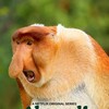 Planete Absurde S01 MULTi 1080p WEB H264-N3TFL1X thumb