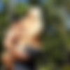 Holly Brooks (20 ) Pack (Victoria Strong) [2012-2014, Anal Play, Anal, Blonde, Big Cock, Big Tits, Blowjob, Creampie, Deep Throat, Doggystyle, Facial, Hardcore, Lesbian, MILF, Masturbation, Mature, Orgy, Petite, Piercing, Posing, Shaved, Stockings, Titfuck, Toys, Uniform, Large Labia, Large Areolae, Saggy Tits] thumb