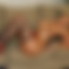 [WifeCravesBlack.com] Kylie G. Worthy [2010 ., Blonde, Interracial, BDWC, Milf, Big Tits, Blowjob] thumb