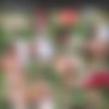 Audrey Bitoni (47 ) (aka Audrey Bittoni, Audri Bitoni, Audrey) Pack [2007-2018, All Sex, Big Tits, Creampie, Solo] thumb