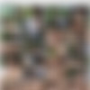 [VivThomas.com / MetArt.com] Nesty A & Shrima Malati (Precious Moments Episode 3 - Untwine) [2016 ., Lesbian sex, Erect Nipples, Cunnilingus, Fingering, Kissing, Outdoor, Wet, Bath, 720p] thumb