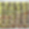 BlondBunny MFC megapack thumb
