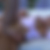 [FerroNetwork.com / GuysForMatures.com]      / Hannah, Benjamin M / g866 / 20.09.2012 [2012 ., All sex, Oral, Masturbation, Mature, SiteRip, 720p] thumb